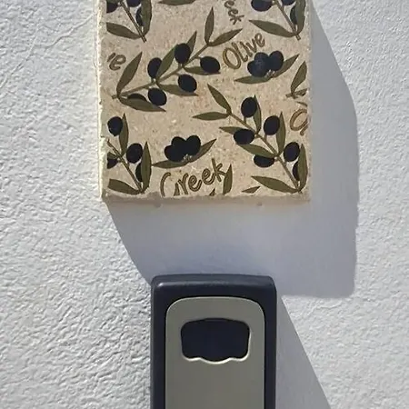 Villa The Olive Tree *