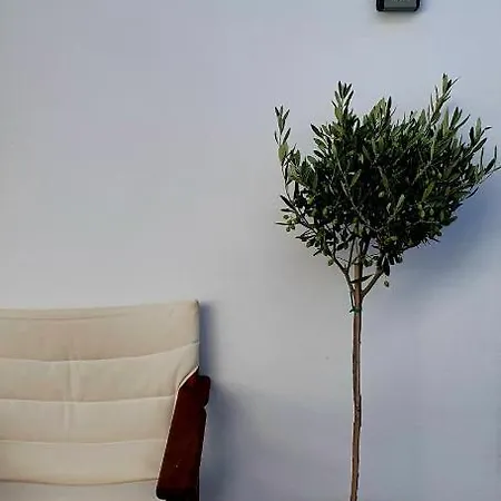 The Olive Tree Villa *