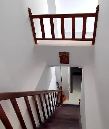 Villa The Olive Tree