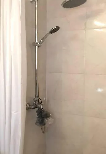 فيلة The Olive Tree