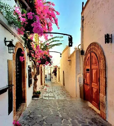 The Olive Tree لينثوس