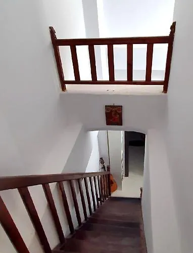 וילה The Olive Tree