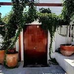 The Olive Tree * לינדוס