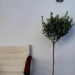 The Olive Tree וילה *