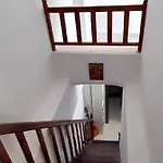 וילה The Olive Tree