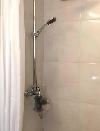 Villa The Olive Tree